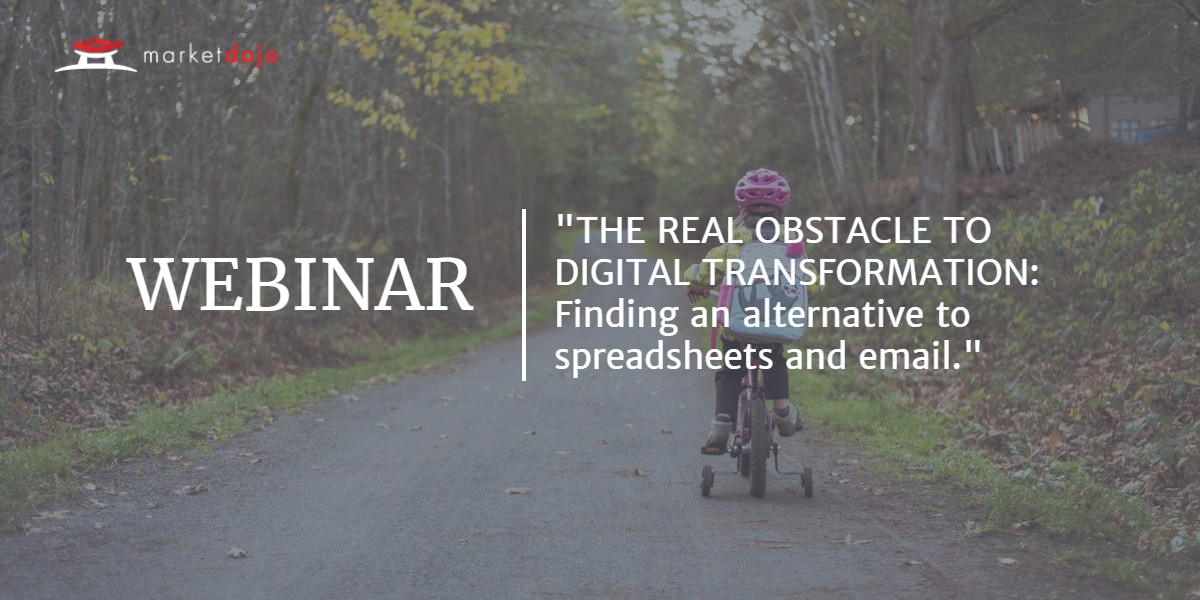 Supplier WEBINAR IDEAs copy