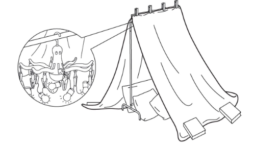 tent