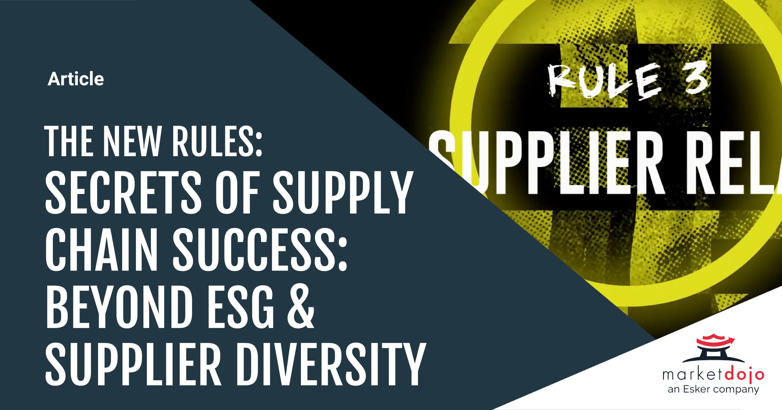 Supplier Relationship Management - Beyond ESG & Supplier Diversity