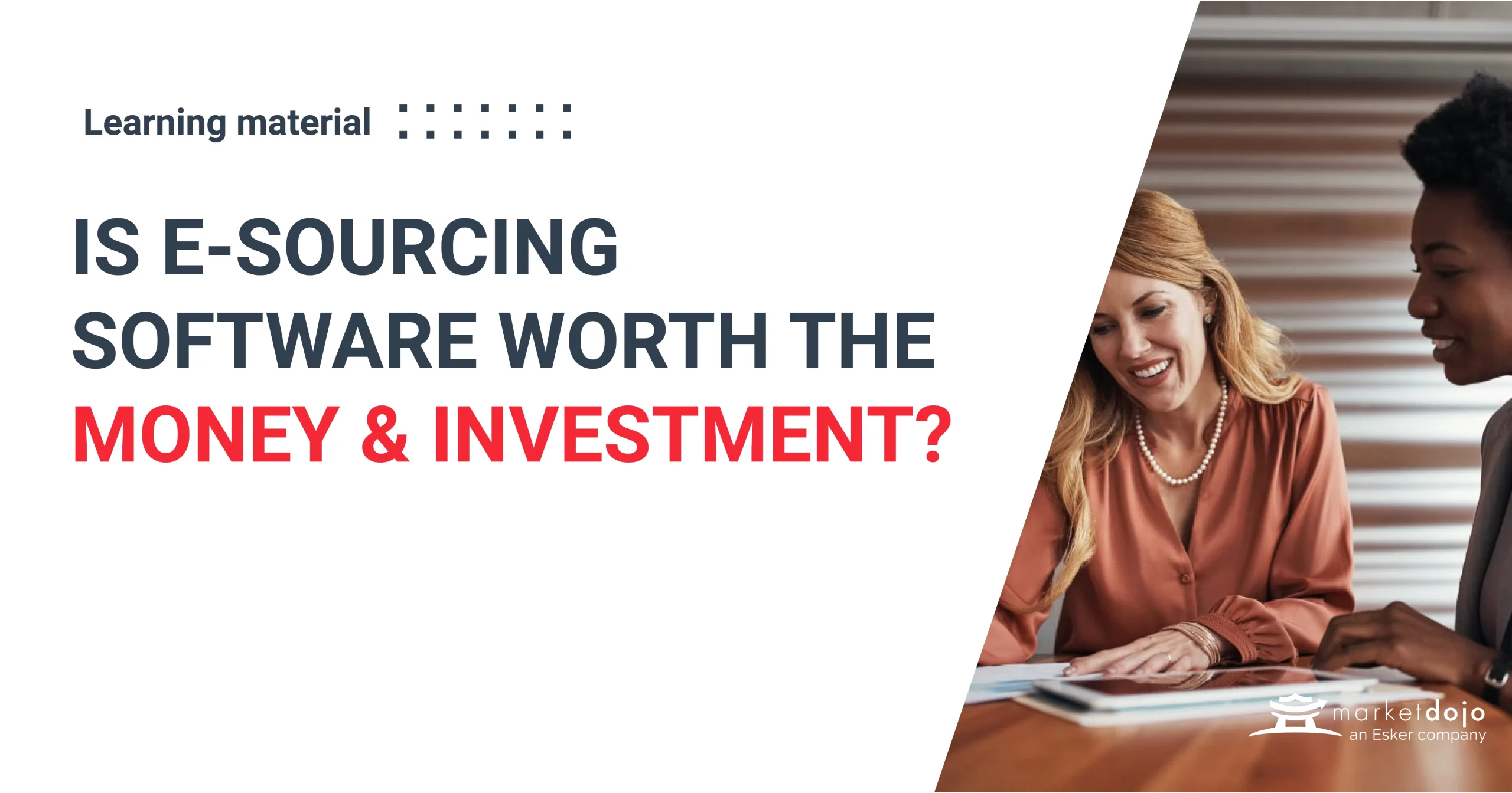 Is eSourcing Worth the Money?